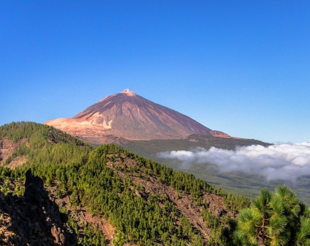 Nationaal Park Teide | Geniet van je vakantie in het zuiden van Tenerife in onze appartementen Parque del Sol